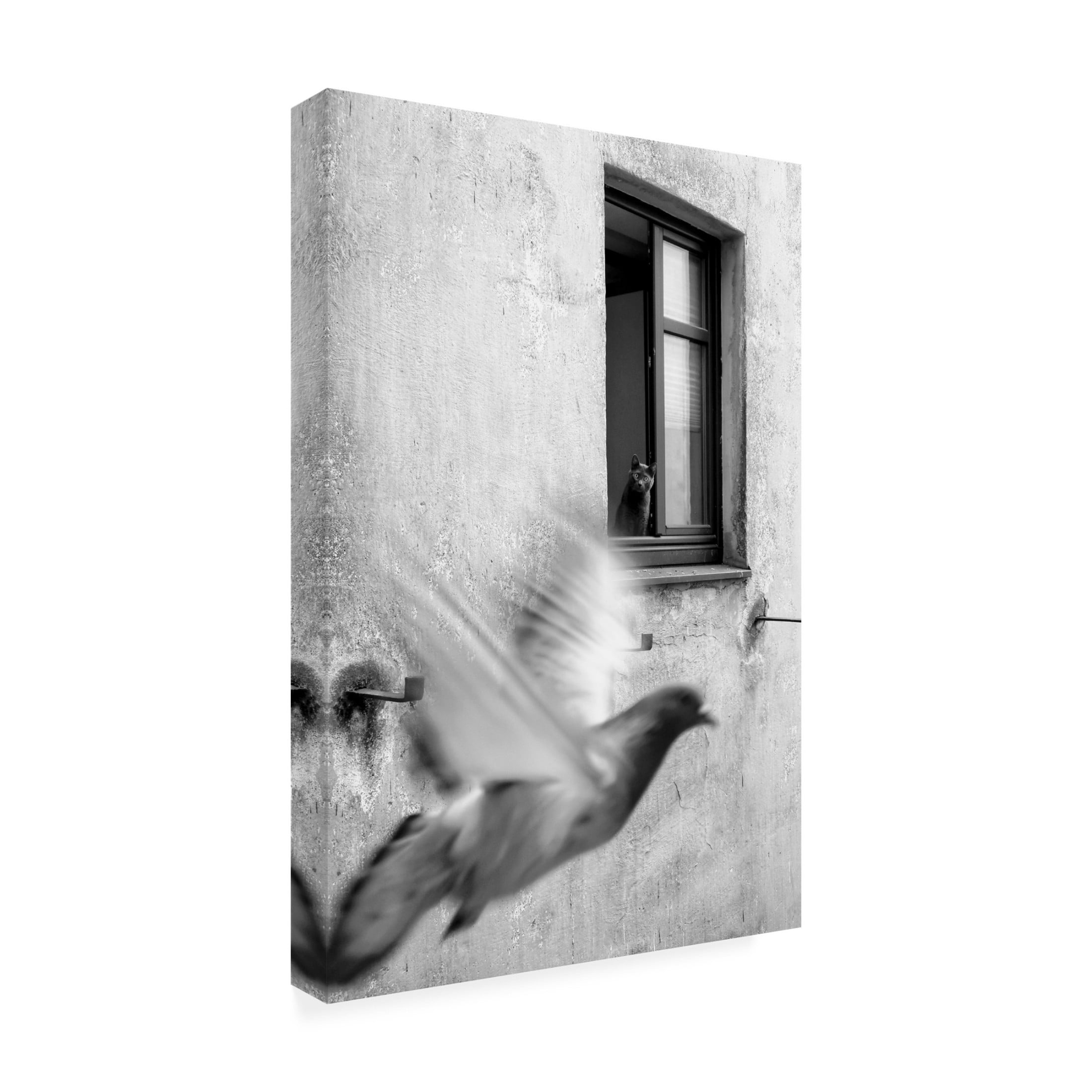 Trademark Fine Art Alex Lo mission impossible II Canvas Wall Art