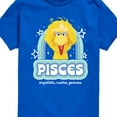thumbnail image 3 of Sesame Street - Pisces Big Bird - Toddler and Youth Short Sleeve Graphic T-Shirt, 3 of 5