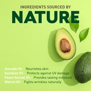 Body Nutritive Serum
