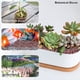 thumbnail image 5 of Naiovety Los cristales curativos duraderos de piedra experimentan una curación duradera y una decoración de colección de cristales duradera Decoración, 5 of 6