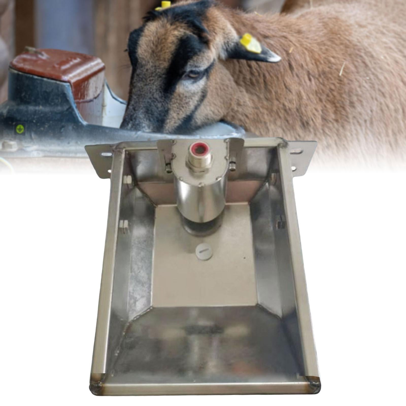 TOOYFUL Automatic Livestock Water Bowl Animal Drinker Watering Trough Feeder Feeding Livestock Waterer Stainless Steel for Cattle Pig M 31cmx26cm