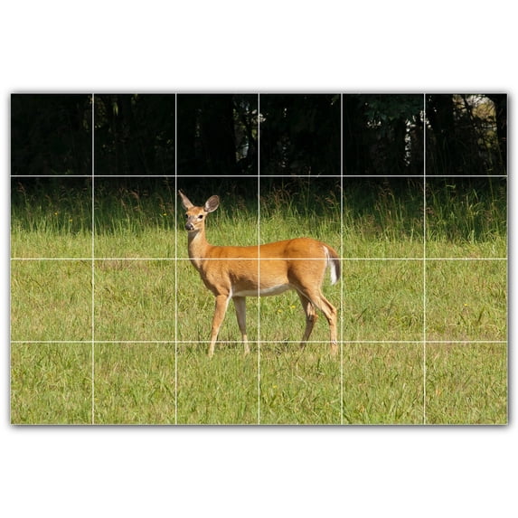 Picture-Tiles.com: Deer Ceramic Tile Wall Mural WAL500456-64L. 48"W x 32"H using (24) 8" x 8" Ceramic Tiles-Satin Finish
