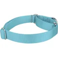 thumbnail image 5 of Collier pour Chien Martingale en Nylon Robuste - (1 Pouce de Largeur, Grand), 5 of 5