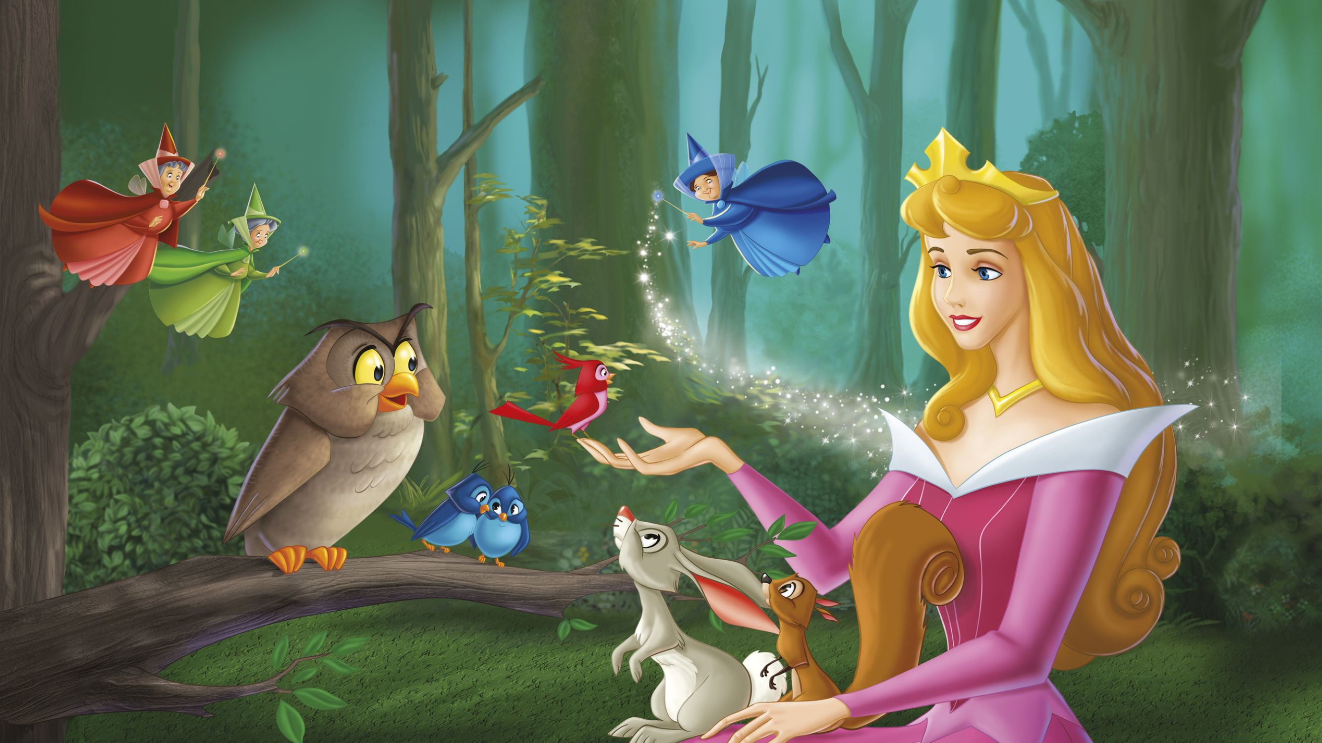 Disney Princess 3-Movie Collection (Walmart Exclusive) (DVD) Disney. Animated, Family, Fantasy