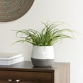 thumbnail image 3 of Corsica Ceramic Crackle 2 Tone 4" Round Pot, White, 3 of 4