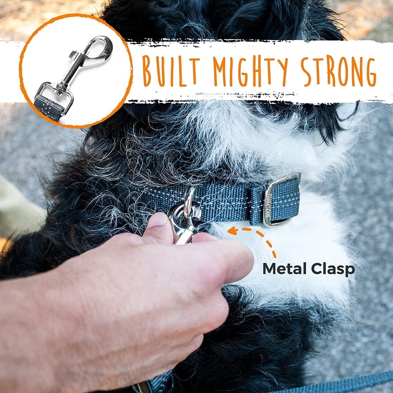 Mighty Paw Double Dog Leash Splitter, Lite, Black photo 8