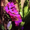 thumbnail image 4 of Plantas artificiales para reptiles, plantas de plástico realistas, hojas colgantes, decoración con ventosa para reptiles, terrario, pecera, 4 of 5