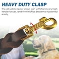 thumbnail image 6 of QianRuiDa 2.5ft Genuine Leather Dog Leash - Features a Solid Brass Carabiner, Durable and Comfortable, Ideal for Training, Walking, and Ensuring the Safety, 6 of 7
