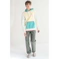 thumbnail image 3 of Ragstock Pastel Spring Color Block Hoodie, 3 of 4