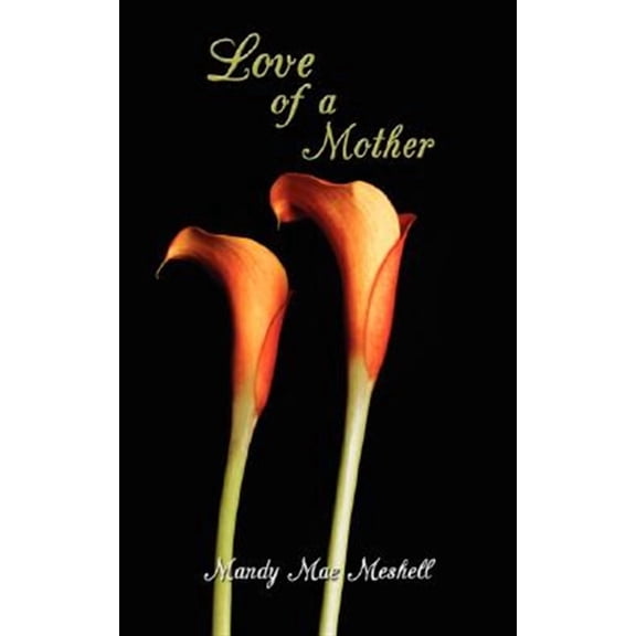 Love of a Mother (Paperback)
