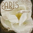 thumbnail image 3 of Grey, Jace 15x15 Black Modern Framed Museum Art Print Titled - Magnolia Paris, 3 of 5