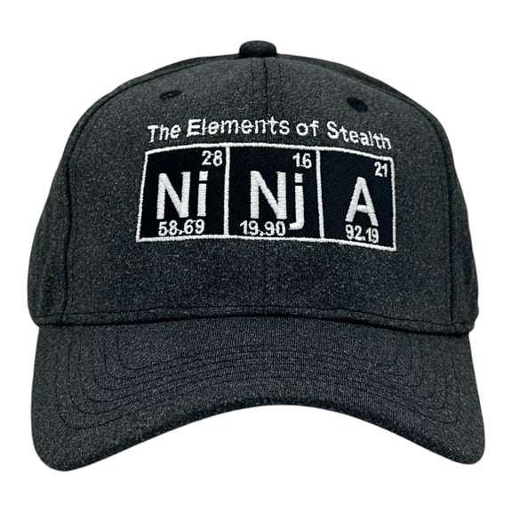 Ninja The Elements of Stealth Hat Funny Sarcastic Graphic Novelty Cap
