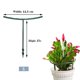 thumbnail image 1 of Estacas de soporte para plantas, soporte para flores, semicircular de plástico, varilla de fijación para huerto de casa verde, herramientas para bonsái de jardinería, 1 of 5