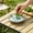 B, variant on Colorful Ceramic Ginger Grater – Handmade Decorative Spice Grinder, Multi-Purpose Kitchen Tool for Garlic, Wasabi, Cheese & Zest, Easy-Clean, Decorative Hand Dish, 12cm