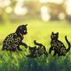thumbnail image 5 of Decoración de jardín para gatos, 3 piezas de silueta de gato de metal con soporte fijo, decoración de gato negro de Pascua para césped, porche, patio, decoración de jardín al aire libre, 5 of 5