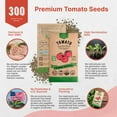 thumbnail image 5 of Large Cherry Tomato Seeds Pack 0.8g – 300+ Non-GMO Heirloom Vegetable Seeds for Planting Indoor or Outdoor Home Garden, 5 of 6