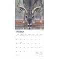 thumbnail image 3 of White Tailed Deer | 2026 12x24" (Hanging) Square Wall Calendar | Plastic-Free, 3 of 9
