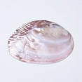 thumbnail image 4 of Natural Freshwater Pearl Shell Decoration 135~170x95~110x30~40mm, 4 of 4
