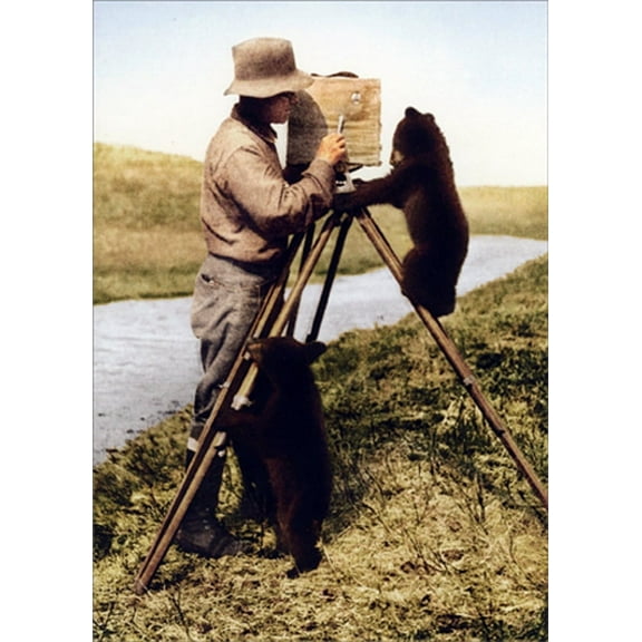 Avanti Press Camera Man and Bears America Collection Cute Encouragement Card