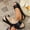 Black, variant on Crunowin Women's Peep Toe Sandals, Flat Sole Slip On Style Solid Color Summer Lightweight Comfortable Shoes White 6