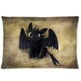 thumbnail image 1 of QIFEIHA How to Train Your Dragon Pillowcase Cushion Cover Two Sides Printing Size 20x30 inch, 1 of 2