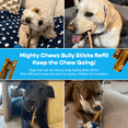 thumbnail image 6 of 7" Standard Bully Sticks - Refill Pack, 6 of 6