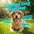 thumbnail image 4 of Dog Baseball Cap with Sun Protection, Visor, Ear Holes & Adjustable Neck Strap (Purple M), 4 of 4