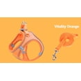 thumbnail image 1 of Chaleco naranja (S) para mascotas, con cuerda de tracción, arnés de pecho para gatos y perros, transpirable y reflectante., 1 of 5