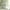 Green, variant on Wicker Offset Printed Curtain&nbsp;of Muslin Cool Window