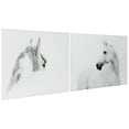 thumbnail image 6 of Empire Art Direct White Horses Set Frameless Free Floating Tempered Glass Panel Graphic Wall Art, 48" x 32" each, Ready to Hang, 6 of 9
