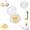 4pcs, variant on Garlic Mincer Manual Twister, Ginger and Herb Grinder Tool, Multi-Purpose Kitchen Crusher for Garlic Onion Nuts, Compact Dishwasher Safe
