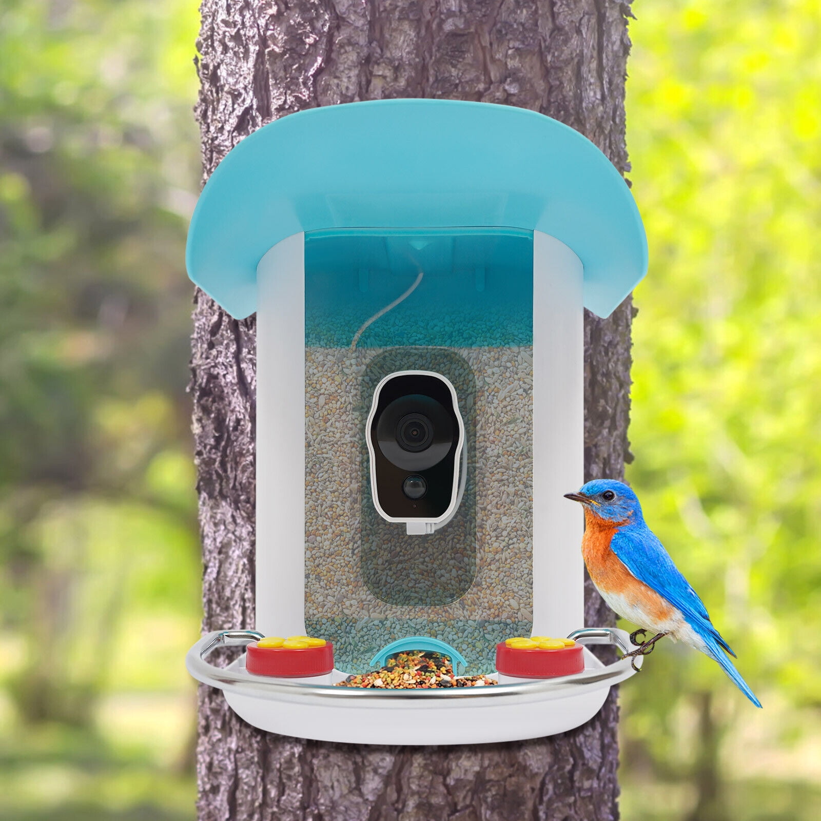 Blue&White Modern Smart Bird Feeder - 1080P 2MP Camera,150° Wide Angle,AI Bird Recognition (11000+ Species),Solar/USB Powered,IP65 Waterproof,2.5L Capacity for Outdoor Bird Watching