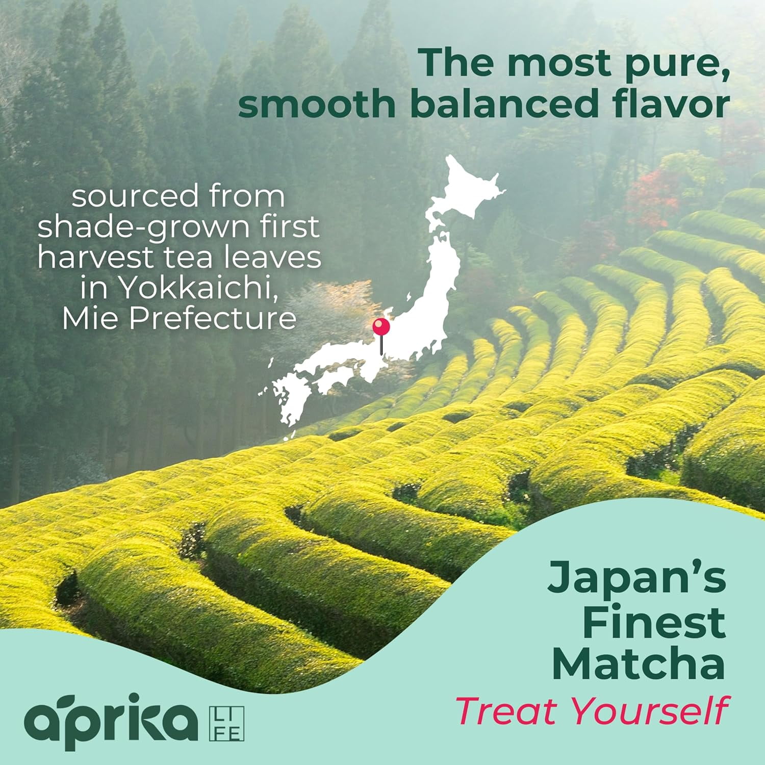 Aprika Life Japanese Ceremonial Matcha Green Tea Powder - USDA & JAS Organic - Premium, First Harvest from Japan - 100g / 3.5 oz