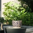 thumbnail image 6 of 6 inch Pots for Plants, Round Ceramic Planter with Drainage, Modern Pot for Indoor & Outdoor Use, for Cheerful Patio Decor, Blue and Beige, 6 of 6