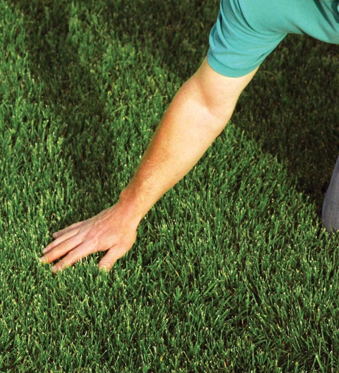 EZ-Straw Seeding Mulch with Tack - Biodegradable Organic Processed Straw  2.5 CU FT Bale Covers up to 500 sq. ft. 2 Pack