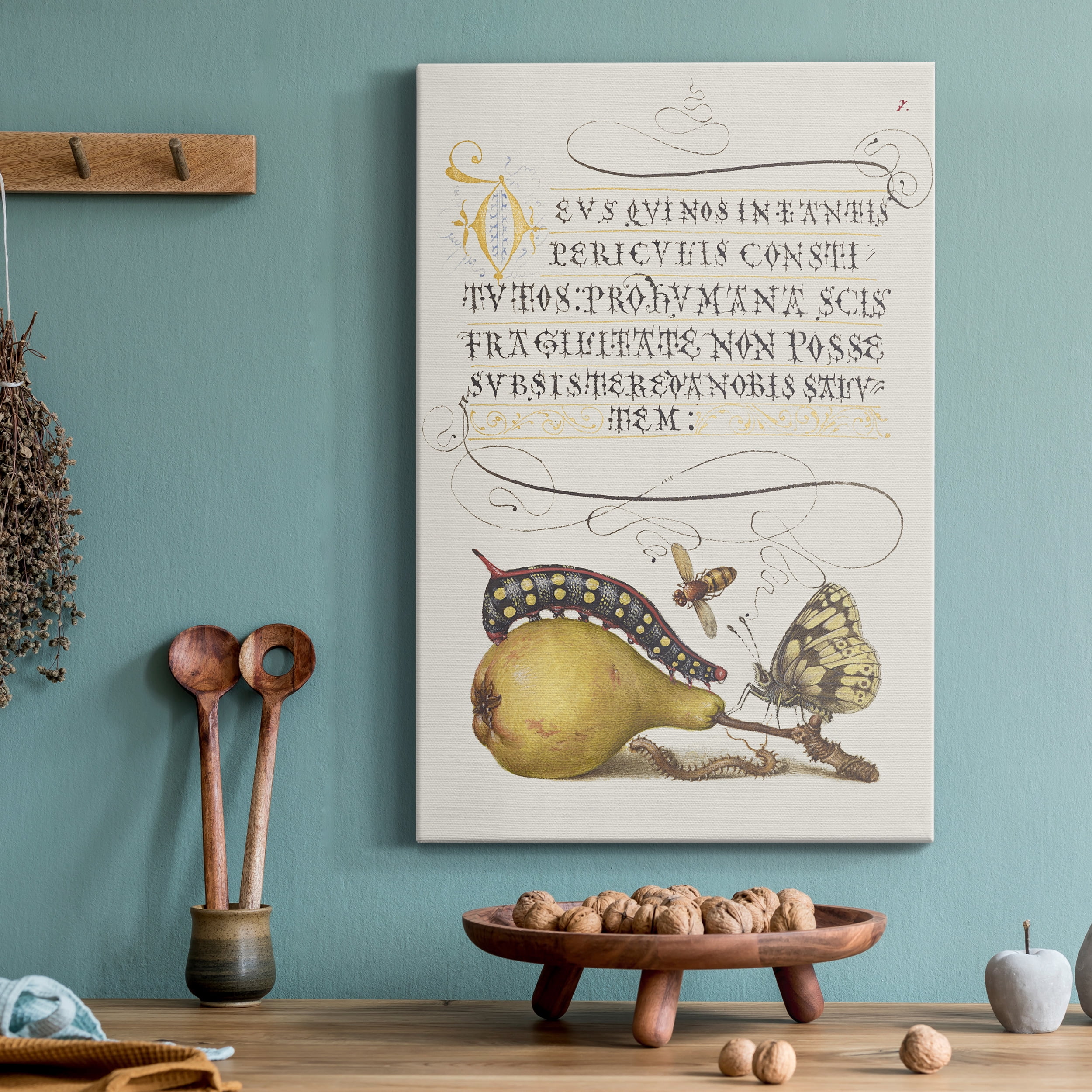 Fly, Caterpillar, Pear, and Centipede Premium Gallery Wrapped Canvas - Ready to Hang - 40 x 60