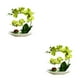 thumbnail image 2 of Orquídeas Artificiales Inteprter Plantas En Maceta Cuenco Blanco 2Conjunto Verde, 2 of 6