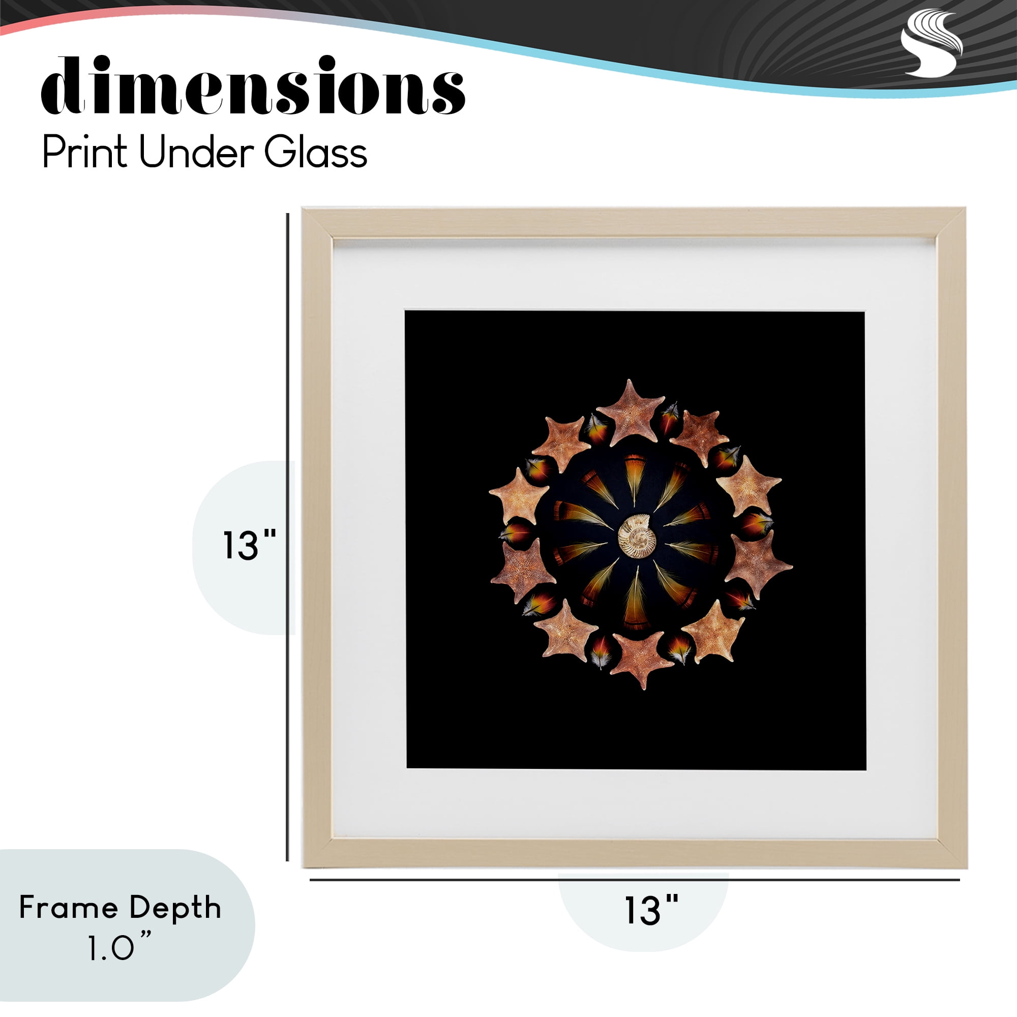 Stupell Industries Nautical Nature Arrangement Birch Framed Print Under Glass, design by Beth Adoette