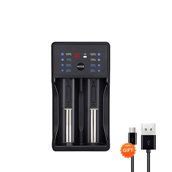 Palogreen 2 Bay LCD Battery Charger for Rechargeable 3.7V Li-ion 16340 17670 18500 17500 17335 Batteries with DC 12V 5A Adapter