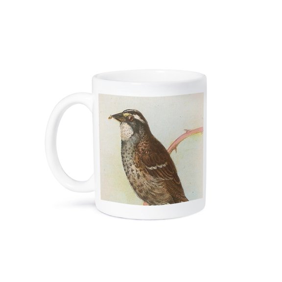 3dRose, Vintage Sparrow, 11oz Mug