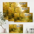 thumbnail image 4 of Designart ' Rain Water On Road In Yellow Woodlands ' Country Canvas Wall Art Print, 4 of 4