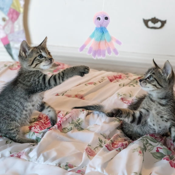 TABLZONE Plush Pet Squeaky Toys Plush Colored Design for Cats 1Set