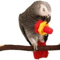 thumbnail image 1 of Flmtop Triangle Square Screw Shape Ornaments Plastic Parrot Bite Pet Chew Bird Toy Random Color, 1 of 6