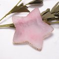 thumbnail image 7 of UDIYO Nail Color Plate Heart Star Shapes Displaying Non-Fading Natural Mixing Display Palette Gel Polish Holder for Manicure, 7 of 7