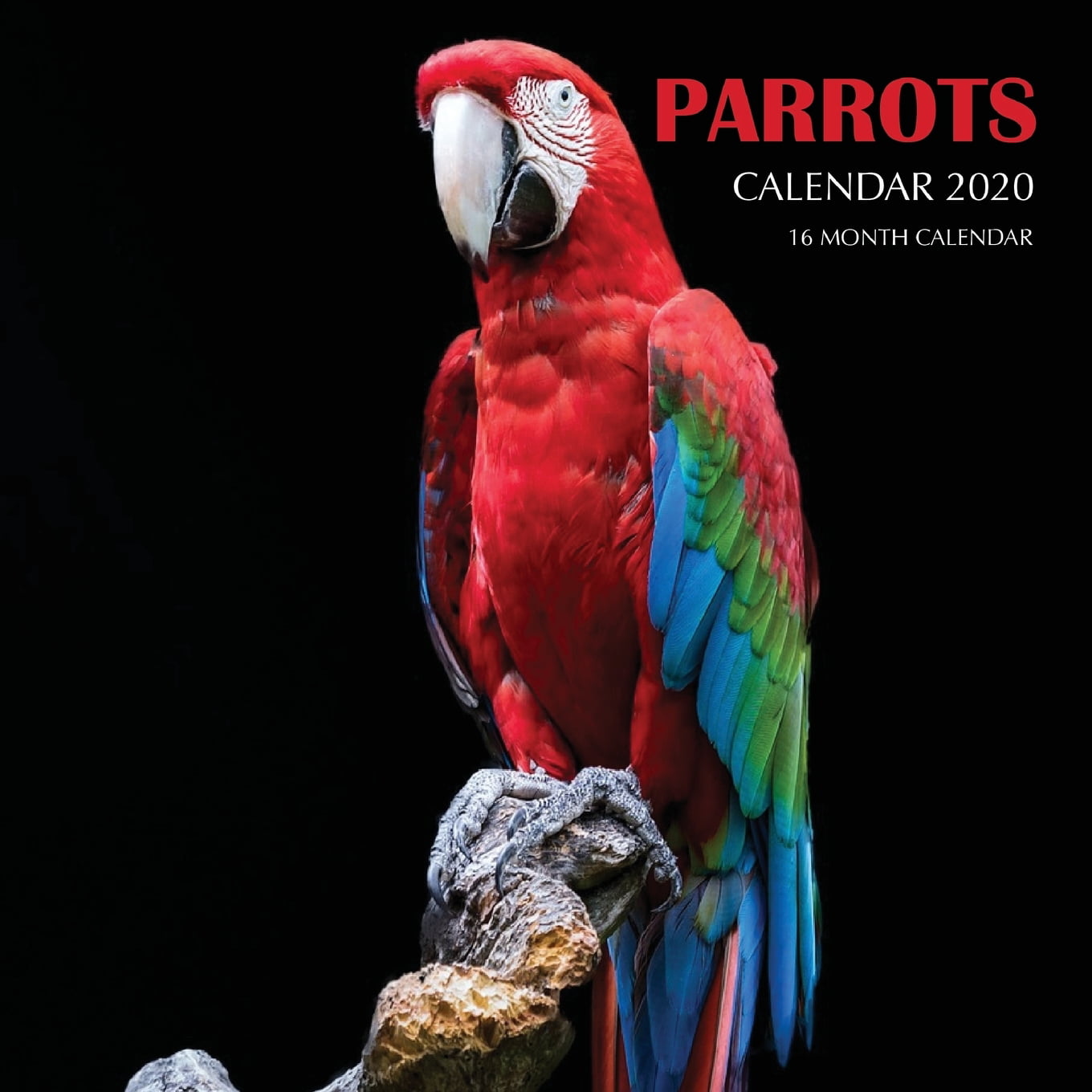 Parrots Calendar 2020 16 Month Calendar (Paperback)