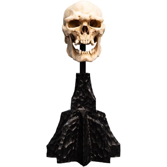 WETA Workshop Polystone - The Lord of the Rings Trilogy - Skull of a Mordor Orc Miniature Polystone Statue