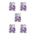 thumbnail image 3 of Monstrate Dry Plants Stickers DIY Collection Crafts Pressed Label Handicraft Bookmarks Specimen Nail Postcard Flower Real Decal Type2 NO2, 3 of 6