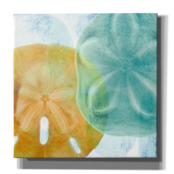 epic graffiti""luminous seashells by elena ray giclee canvas wall art, 18" x 18"