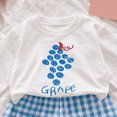 thumbnail image 2 of HCNTES Baby Girl Clothes Toddler Girls Dresses Outfits 6M 12M 18M 24M 3T 4T 5T 6T Toddler Girls Winter Clothes Girls Fruit Plaid Print Long Sleeve Shirt Pants 2PCs Set Dailywear, 2 of 4