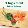 thumbnail image 5 of Nutro Natural Choice Adult Small Bites Dog Food Recipe Salmon & Brown Rice, 28 Lb Bag, 5 of 17